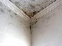 Mold Remediation for Vacation Homes in Strasburg, OH